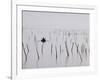 Oyster Beds, Arcachon, Gironde, Aquitaine, France-Adam Woolfitt-Framed Photographic Print