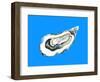 Oyster by the Sea Blue-Alice Straker-Framed Photographic Print