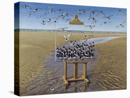 Oyster Catchers-Harro Maass-Stretched Canvas