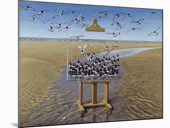 Oyster Catchers-Harro Maass-Mounted Giclee Print