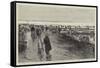 Oyster Cultivation in Brittany, English Visitors at the Oyster Beds at Cancale-null-Framed Stretched Canvas