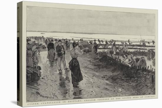 Oyster Cultivation in Brittany, English Visitors at the Oyster Beds at Cancale-null-Stretched Canvas