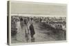 Oyster Cultivation in Brittany, English Visitors at the Oyster Beds at Cancale-null-Stretched Canvas