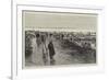 Oyster Cultivation in Brittany, English Visitors at the Oyster Beds at Cancale-null-Framed Giclee Print