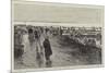 Oyster Cultivation in Brittany, English Visitors at the Oyster Beds at Cancale-null-Mounted Giclee Print