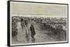 Oyster Cultivation in Brittany, English Visitors at the Oyster Beds at Cancale-null-Framed Stretched Canvas