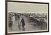 Oyster Cultivation in Brittany, English Visitors at the Oyster Beds at Cancale-null-Framed Premium Giclee Print