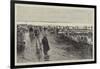 Oyster Cultivation in Brittany, English Visitors at the Oyster Beds at Cancale-null-Framed Premium Giclee Print