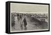 Oyster Cultivation in Brittany, English Visitors at the Oyster Beds at Cancale-null-Framed Stretched Canvas