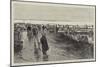 Oyster Cultivation in Brittany, English Visitors at the Oyster Beds at Cancale-null-Mounted Giclee Print