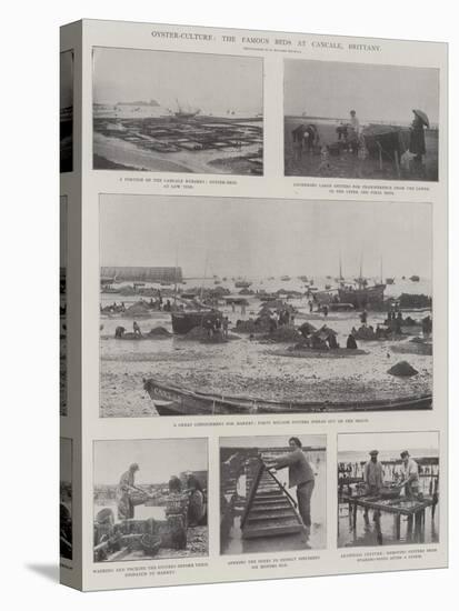 Oyster-Culture, the Famous Beds at Cancale, Brittany-null-Stretched Canvas