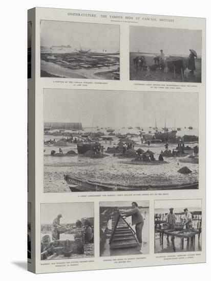 Oyster-Culture, the Famous Beds at Cancale, Brittany-null-Stretched Canvas