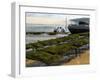 Oyster Fishermen Grading Oysters, Bay of Arcachon, Gironde, Aquitaine, France-Groenendijk Peter-Framed Premium Photographic Print