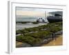 Oyster Fishermen Grading Oysters, Bay of Arcachon, Gironde, Aquitaine, France-Groenendijk Peter-Framed Photographic Print