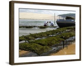 Oyster Fishermen Grading Oysters, Bay of Arcachon, Gironde, Aquitaine, France-Groenendijk Peter-Framed Photographic Print