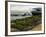 Oyster Fishermen Grading Oysters, Bay of Arcachon, Gironde, Aquitaine, France-Groenendijk Peter-Framed Photographic Print