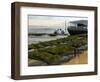 Oyster Fishermen Grading Oysters, Bay of Arcachon, Gironde, Aquitaine, France-Groenendijk Peter-Framed Photographic Print