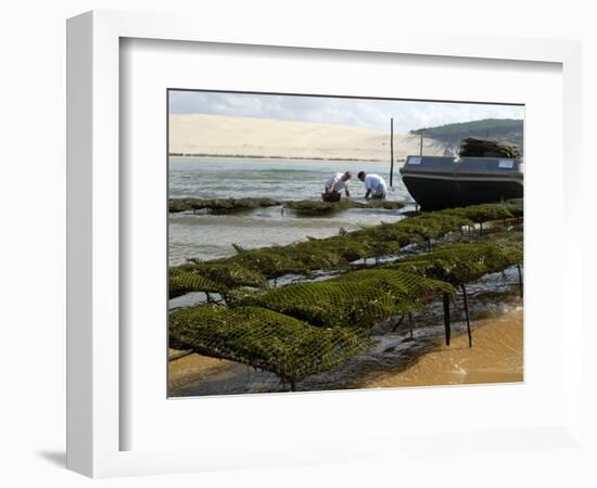 Oyster Fishermen Grading Oysters, Bay of Arcachon, Gironde, Aquitaine, France-Groenendijk Peter-Framed Photographic Print