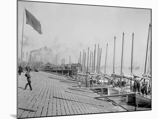 Oyster Luggers at the Levee, New Orleans-null-Mounted Photo