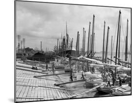 Oyster Luggers, New Orleans, La.-null-Mounted Photo