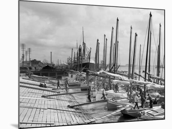 Oyster Luggers, New Orleans, La.-null-Mounted Photo