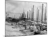 Oyster Luggers, New Orleans, La.-null-Mounted Photo