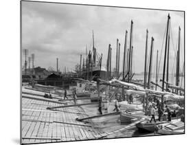 Oyster Luggers, New Orleans, La.-null-Mounted Photo