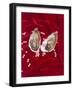 Oyster Shell and Pearls-null-Framed Photographic Print