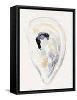Oyster Shell Watercolor II-Victoria Barnes-Framed Stretched Canvas