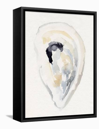 Oyster Shell Watercolor II-Victoria Barnes-Framed Stretched Canvas