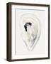 Oyster Shell Watercolor II-Victoria Barnes-Framed Art Print