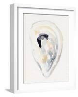 Oyster Shell Watercolor II-Victoria Barnes-Framed Art Print