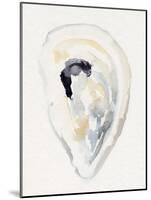 Oyster Shell Watercolor II-Victoria Barnes-Mounted Art Print