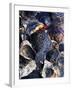Oyster Shells-Hermann Mock-Framed Photographic Print