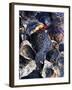 Oyster Shells-Hermann Mock-Framed Photographic Print