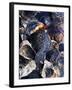 Oyster Shells-Hermann Mock-Framed Photographic Print