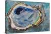 Oyster Two-Jeanette Vertentes-Stretched Canvas