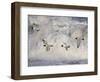 Oystercatchers in Flight over Breaking Surf, Norfolk, UK, December-Gary Smith-Framed Photographic Print