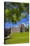 Oystermouth Castle, Mumbles, Gower, Wales, United Kingdom, Europe-Billy Stock-Stretched Canvas