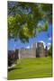 Oystermouth Castle, Mumbles, Gower, Wales, United Kingdom, Europe-Billy Stock-Mounted Photographic Print