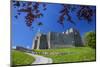 Oystermouth Castle, Mumbles, Gower, Wales, United Kingdom, Europe-Billy Stock-Mounted Photographic Print