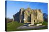 Oystermouth Castle, Mumbles, Swansea, Wales, United Kingdom, Europe-Billy-Stretched Canvas