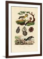 Oysters, 1833-39-null-Framed Giclee Print