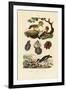 Oysters, 1833-39-null-Framed Giclee Print