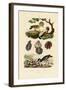 Oysters, 1833-39-null-Framed Giclee Print