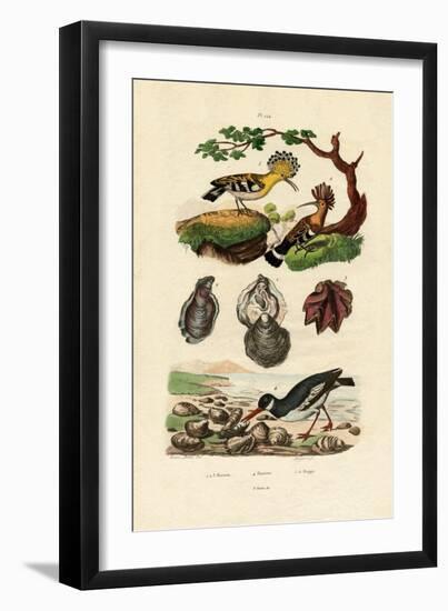 Oysters, 1833-39-null-Framed Giclee Print