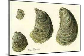 Oysters Ages 1-4-null-Mounted Giclee Print