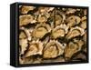 Oysters at Sydney Fish Market, Sydney, Australia-David Wall-Framed Stretched Canvas