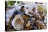 Oysters, Kilkenny, County Kilkenny, Leinster, Republic of Ireland (Eire), Europe-Nico Tondini-Stretched Canvas