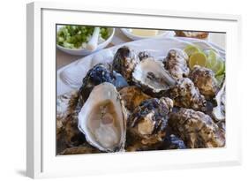 Oysters, Kilkenny, County Kilkenny, Leinster, Republic of Ireland (Eire), Europe-Nico Tondini-Framed Photographic Print